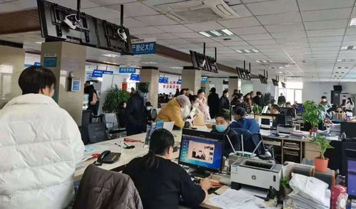 物联赋能，网通民心 智慧服务让群众办事更便捷